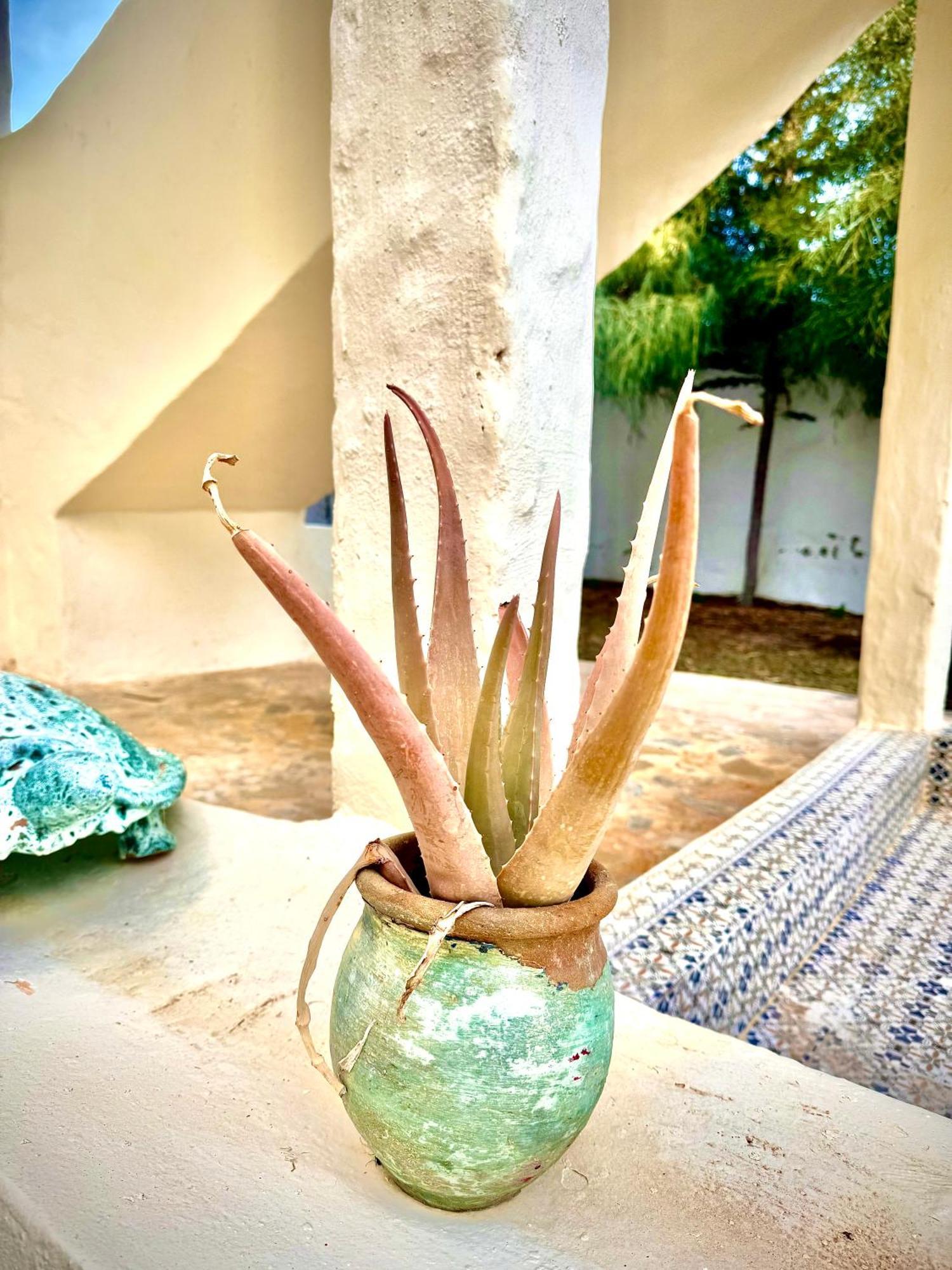 Dar Oueghlani - Maison D'Hotes El May Екстер'єр фото